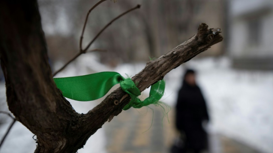 On walls and park benches: Moscow's silent calls for peace