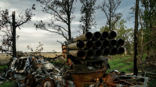 Sur le front Sud, les soldats ukrainiens veulent atteindre Kherson pour Noël