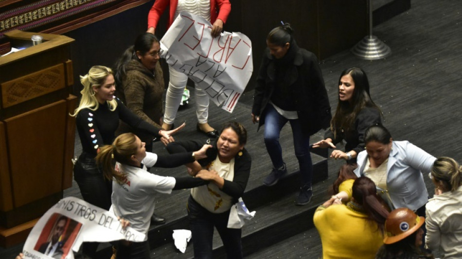 'Embarrassment' after Bolivian lawmakers brawl in parliament