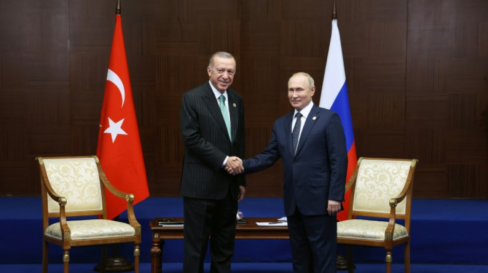 Ukraine, Syria, NATO: why the Kremlin needs Erdogan to win