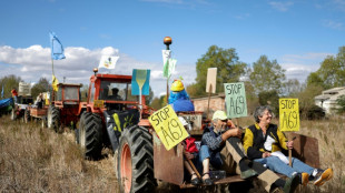 A69: un cortège pour dire "Non au macadam!", deux entreprises prises pour cibles