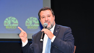 Salvini bene il voto in Austria, nessun allarme neonazista