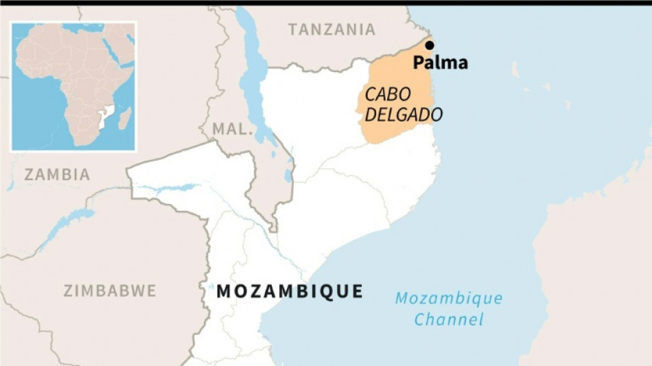 Total CEO expected in Mozambique after gas project halted