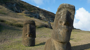 'Ecocide' on Easter Island never took place, studies suggest