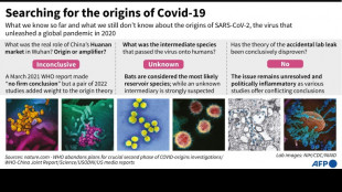 WHO urges countries to come clean on Covid origins intel