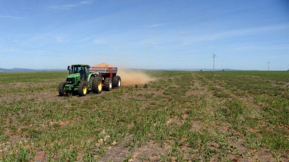 Bauernverband fordert mehr Geld für Einsatz für Klimaschutz und Tierwohl