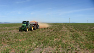 Erzeugerpreise für landwirtschaftliche Produkte im November leicht gesunken