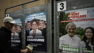 Législatives: le front républicain tente encore de se construire face au RN 