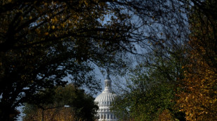 US election outcome unlikely to impact fight against climate change: experts