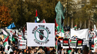 Des centaines de milliers de personnes marchent à Londres sous haute surveillance "pour la Palestine"