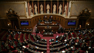 Retraites: le Sénat rejette une demande de référendum de la gauche