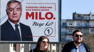 Montenegro votes in presidential polls after months of deadlock