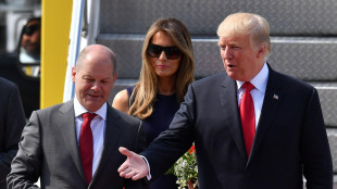 Scholz-Trump: pronti a lavorare al ritorno della pace in Europa