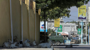 Somalie: 3 morts et 27 blessés dans l'attaque d'un hôtel par les shebab à Mogadiscio