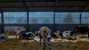 Macron à "l'écoute" des agriculteurs, les syndicats restent déterminés