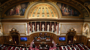 Retraites: le Sénat adopte la réforme des retraites avant une semaine décisive