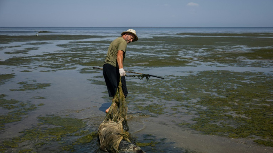 Ukraine conflict intrudes on UN biodiversity summit