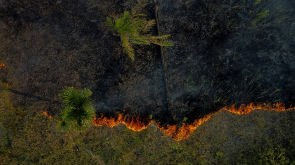 Indígenas sul-americanos alertam que incêndios e secas ameaçam a Amazônia