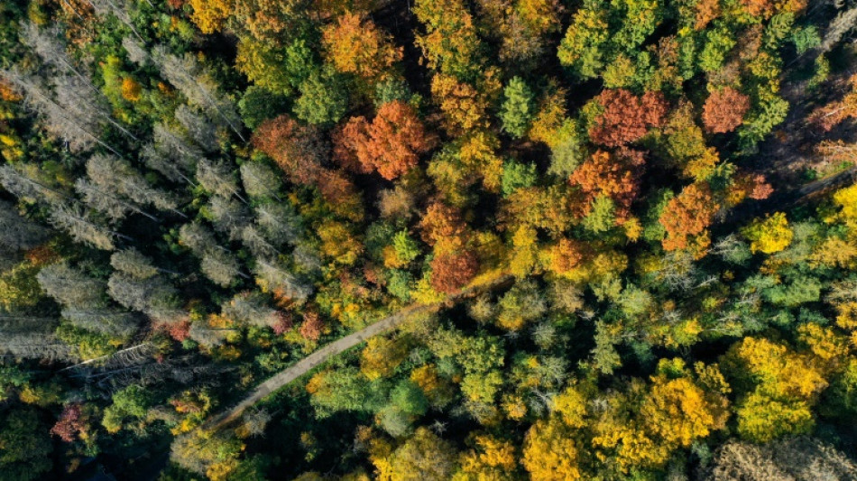 Studie: Viele Menschen in Deutschland über Klimakrise und Naturzerstörung besorgt