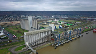 Ukraine war turns French port of Rouen into grain powerhouse