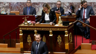 Retraites: la réforme dans l'arène de l'Assemblée, démarrage sous haute tension