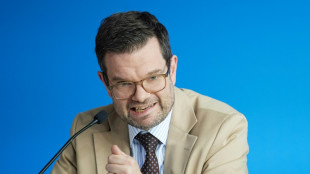 Buschmann wirbt für Gesetz zu Schutz von Verfassungsgericht - Bundestag debattiert