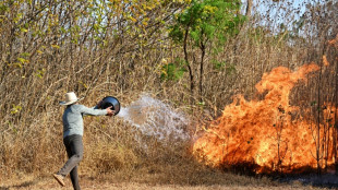 Vague d'incendies au Brésil: les flammes touchent désormais le parc national de Brasilia