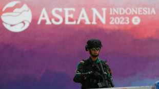 ASEAN at a 'crossroad' as Myanmar violence escalates 