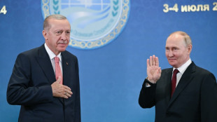 Russia prisoner swap: Turkey's  diplomatic coup