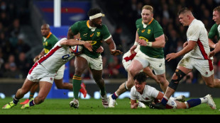 Much-changed Springboks to face Wales in first Test