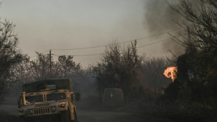 White phosphorus munitions fired in eastern Ukraine: AFP