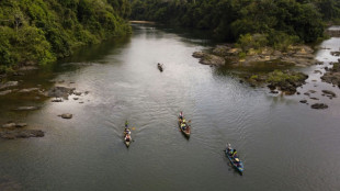 Brésil: un barrage menace la biodiversité en Amazonie