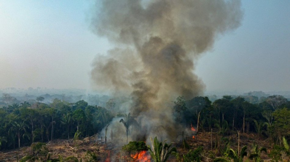 Nearly 3,000 fires in Brazilian Amazon in February, new record