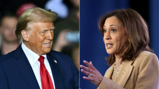 Harris ou Trump, l'Amérique à la veille d'un choix historique