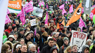 Aktionen statt Demonstration unter dem Motto "Wir haben es satt!" 