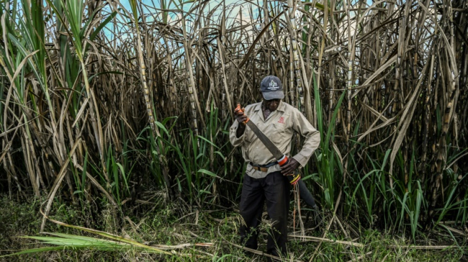 Colombia's territorial battle between Indigenous and Black communities