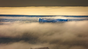 Dans l'Arctique, l'isolement du géant russe plombe la science