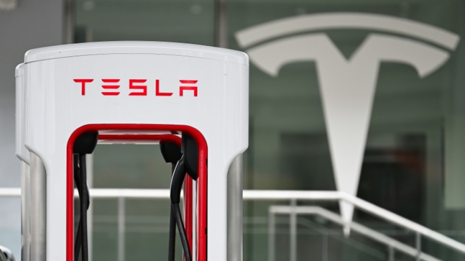 Tesla reports profit drop on price cuts, lower vehicle sales