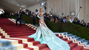 Großes Schaulaufen der Stars bei der Gala des Metropolitan Museums in New York