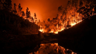 Portugal: série d'acquittements à l'issue du procès de l'incendie meurtrier de juin 2017