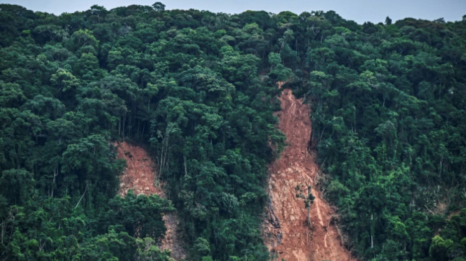 Cambio climático y urbanismo descontrolado: causas de mortales lluvias en Brasil