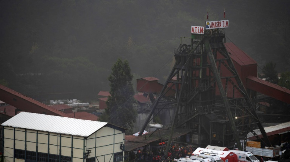 Methane in Turkey mine was below critical level: Erdogan