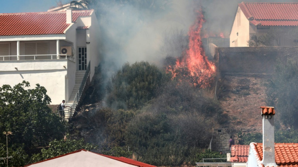 Bomberos luchan contra incendios en parques nacionales en Grecia y Alemania