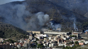 El incendio en la frontera de España con Francia en vías de ser controlado