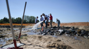 Épaves et pêcheries médiévales, des vestiges "exceptionnels" mis au jour dans le lit de la Loire