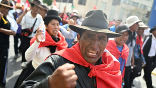 Racism, polarization and poverty at heart of Peru protests