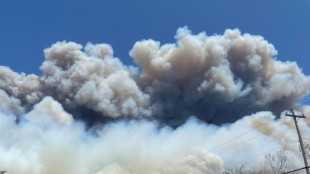 Canada sees record CO2 emissions from fires so far this year