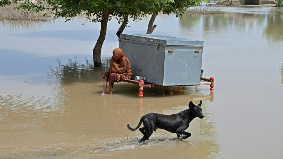 Floods drown hope in Pakistan's impoverished Punjab villages