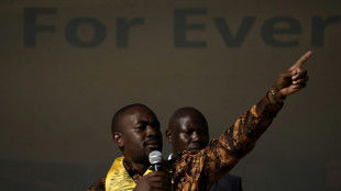 Zimbabwe: Nelson Chamisa, le "jeune" pasteur qui veut créer la surprise