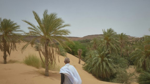 Climate change threatens age-old Mauritania date harvest